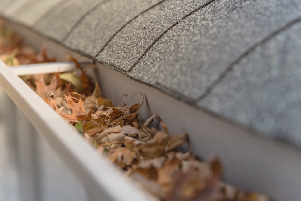 Clogged gutters in need of home gutter cleaning.