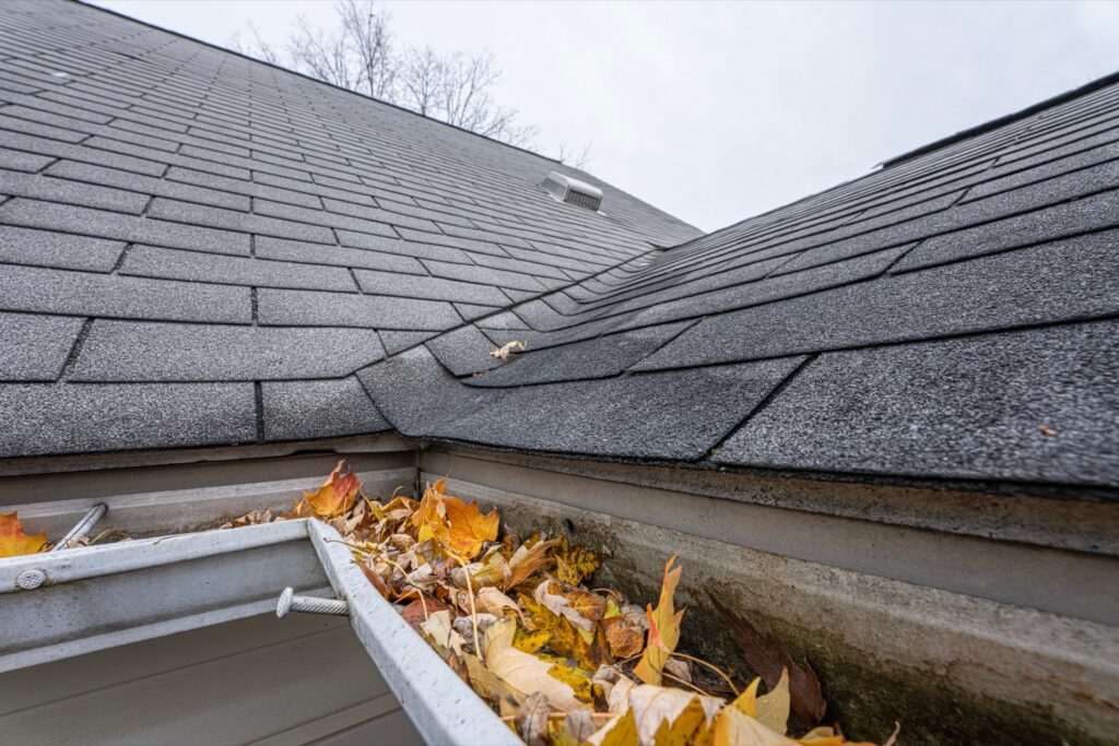 Gutters clogged with leaves in need of home gutter cleaning services