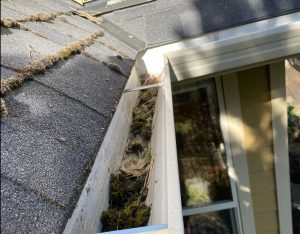 Frequently Asked Questions about Gutter Cleaning